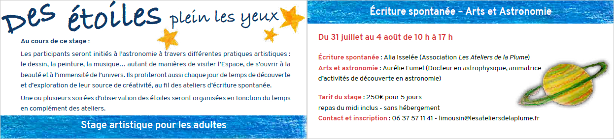 Stage adultes